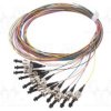 LAPP-29320202