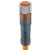 Kabel konfekcjonowany jednostronnie M8 3-pinowy żeńskie proste z samoblokującym gwintem pomarańczowy PVC RKMV 3-06/10 M