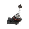 Żarówka HB4 P22D 9006 12V 51W EIPARTS / EPB05