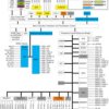 16/32 Bit RISC Flash MCU, Arm Cortex-R4F, EMAC, FlexRay | PGE | 144 | -40 to 125