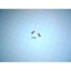 CL61RCD151 CITI N_A LED_SMD