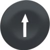 Cap, for pushbutton, ZBA7235