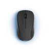 00173020 Mouse, wireless, black
