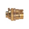 Dencon 217NB BC Brass 1/2in Unswitched Lamp Holder