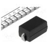 SMDP-10R