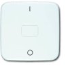 Busch-Jaeger Zaślepka Przycisk czysty biały (ral 9010), biały 2CKA001434A0570 1 szt.