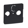 Niloe Selection Plakietka do gniazd telewizyjnych stosowanych przez operatorów telewizji kablowych (2-3 otwory) antracyt 762260