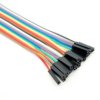 20 pin dual female splittable jumper wire - 300mm