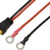 Zacisk pierścieniowy do kabla połączeniowego XT60 0,25 m TC-13619316 czarny, czerwony TRU COMPONENTS Zawartość: 1 szt.