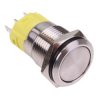 On-(On) Momentary 16mm Vandal Push Button Switch SPDT