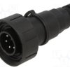 PXV0739/P/07