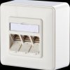 1309130002-E CAT.6A module 3 port AP pure white