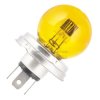 R2 12V 45/40W P45t żółta ChRL