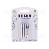 55BAT-LR6S/TESLA-B2