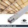 Świetlówka Led T8 G13 90Cm 15W 3000K 1500Lm Pc Prescot Flicker Free