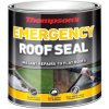 Ronseal 34887 Thompson's Emergency Roof Seal 2.5 litre