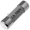 1A bezp. ceram. zwłoczny 10x38mm 500V gG