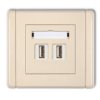 Flexi Gniazdo Podwójne 2Xusb-Aa Beżowy 1Fgusb-2