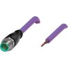 Sensor actuator cable, M12-cable plug, straight to open end, 5 pole, 3 m, PUR, purple, 4 A, 70114142