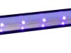 Reflektor UV Eurolite 51930307 1 szt.