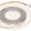 Taśma LED120-12V/9.6W-WW/5M - 3000K