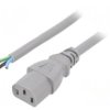 SN31-3/10/1GY Kabel: 3x1mm2, IEC C13 żeński, 1m, 10A, 250V