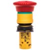 Przycisk bezpieczeństwa 22mm 1R IP54 przez obrót XB7NS8442