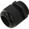 AIO-BSCS-28