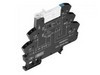 TRZ-24VDC-1CO-AGSN