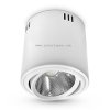 AVIS 18W/830 COB 12deg; biała fi 133x140 Brilum 7198