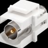 79938 Keystone module coax male / F female, flush, white