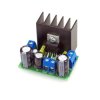 Wzmacniacz audio mono 10W z TDA2003 - zlutowany KIT AVT 1744