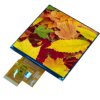 Kolorowy wyświetlacz LCD 4cal TFT 720 x 720pikseli Parallel, RGB I/F Nie Display Visions