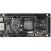 FRDM Development Board for MCX E31 MCUs