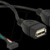 84933 Cable USB 2.0 pin header female 2.00 mm 10 pin > 2 x USB 2.0 Typ