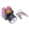 YW1K-2AE02 22mm 2 Position Maintained Key Switch 2NC IP65 IDEC