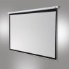 Ekran zwijany Celexon, 300 x 300 cm, 1:1