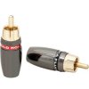 WTYK RCA CH61 HQ FI-6mm BLOW