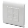 Front panel for Keystone module, for Keystone module, 2 x RJ45, (W x H x D) 85 x 85 x 15 mm, white, DN-93802