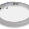Świetlówka owadobójcza G10q 22 W 8 in 210mm RS PRO