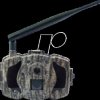 31891 Surveillance camera, 36 MP, 4G, for wildlife observation
