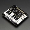 Adafruit Pimoroni Piano HAT