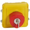 PLEXO55 Wyłącznik awaryjny na klucz szaro-żółty 3A-250V 069548 LEGRAND