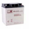 Akumulator VRLA AGM 12V 24Ah (żywotność 10-12lat) MWL24-12 M5