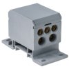Blok rozdzielczy 1-biegunowy 160A 2x2,5-50 mm2 / 3x2,5-25 mm2 / 2x2,5-25 mm2 TH35 szary E.4091/SZ PAWBOL