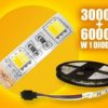 TASMA LED 5050 WW+CW 5/300LED