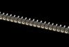 256-050-1-50-00 Precision Socket/IC Strip Straight, RM 2.54, 50-pin
