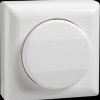 516204 Surface mounted rocker switch, 42V/1A, RENOVATION, pure white