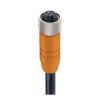 Lumberg Automation Kabel siłownika czujnika Złącze A Złącze M12 5 długość 5 m Rodzaj A Żeńskie Niezakończone Złącze B