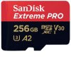 SanDisk SDSQXCD-256G-GN6MA Raspberry Pi NOOBS 256GB SD card black